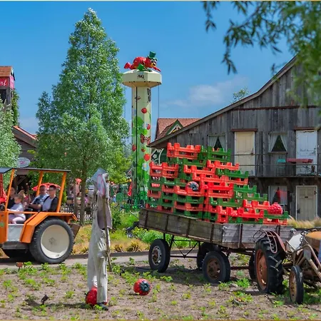 Ostseeglueck App Abendsonne Loddin